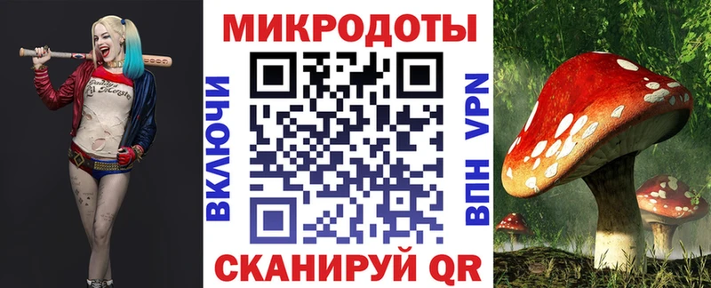Купить  Большой Камень  Галлюциногенные грибы GOLDEN TEACHER 