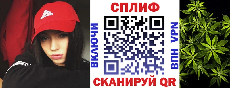 Бошки Шишки Amnesia  Купить закладки  Большой Камень 